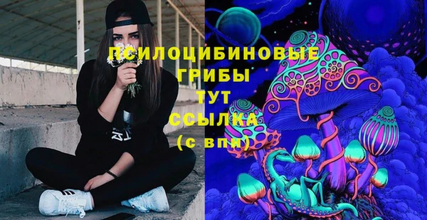 соль ск Богородск