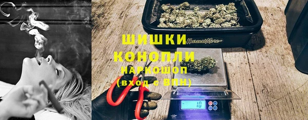 соль ск Богородск